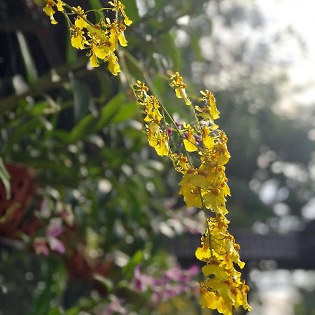 Thanh Thuy Cidade de Ho Chi Minh Exterior foto